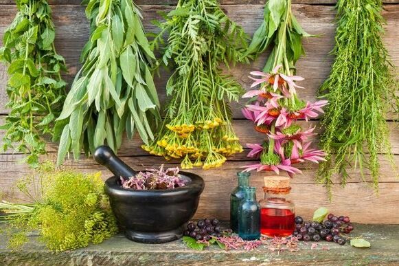herbs for arterial hypertension